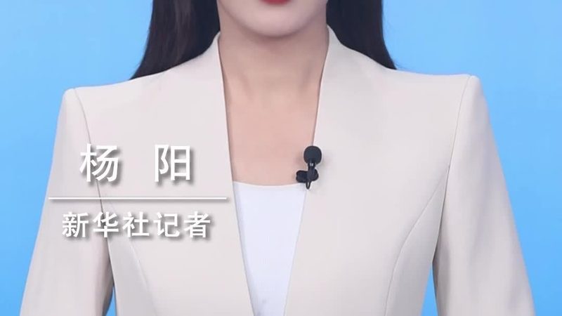 数据中台：企业数字化转型的中枢神经